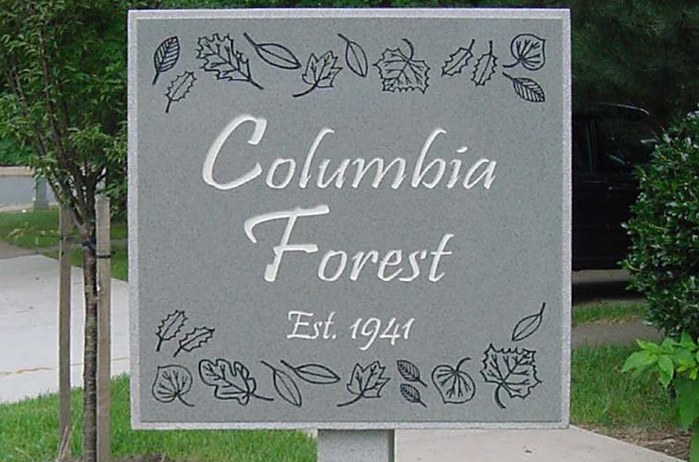 Columbia Forest